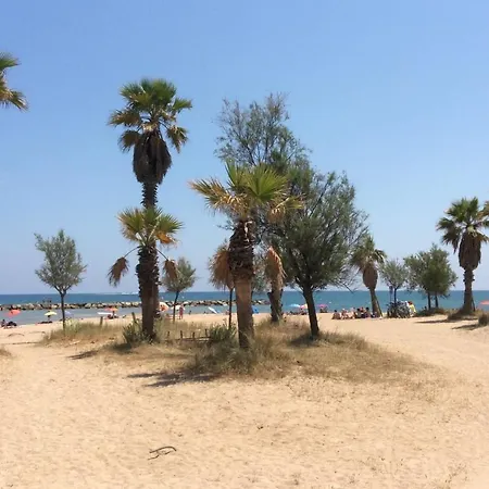 Superb With Balcony Near The *